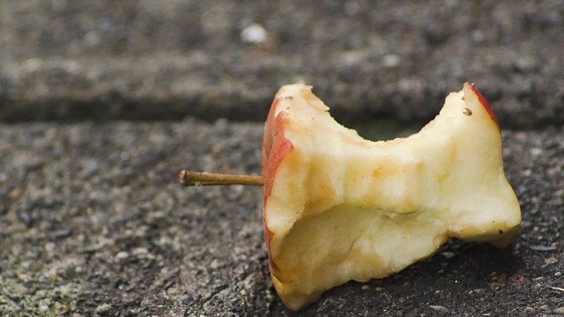 Машины плохо виляют на урожай яблок